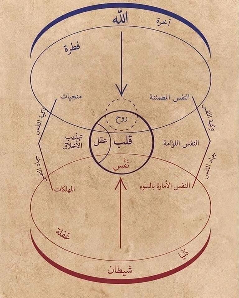 The stations of Ibn ʿArabi — diagrammatic teachings of the Shaykh al-Akbar.